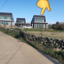 판포바다향기 이미지