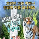 2024년 건강정보 총정리! 이미지