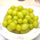 중앙로 느티나무길 이미지