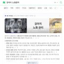 금호동물병원 | 서울 금호동물병원 미래지에서 만난 건강노화 줄기세포 치료 후기