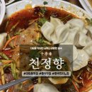 천정향