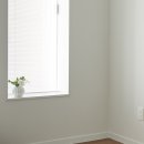 화이트부러쉬 이미지