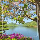 힐링 꽃과 식물 세밀화 | 옥천 수생식물학습원 천상의정원｜주말 초대권 힐링 나들이 후기 (대청호 숨은 명소)