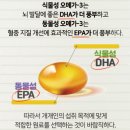 고려은단 오메가3 식물성 : RTG형 (내돈내산건강기능식품후기)