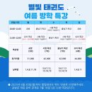 경희대 다산 태권도 이미지