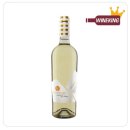 [보석같은 페코리뇨 와인] Pecorino 콜레프리시오 비그나쿼드라 페코리뇨