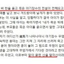 말미산정상 이미지