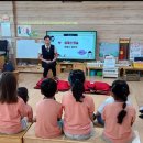 보성초등학교 병설유치원 이미지