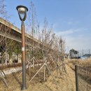 11650-16-15-7 | 📌Review 📱 아이폰16 프로맥스 vs 삼성 갤럭시Z플립7, 변경 후기 (2025년 최신)