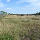 중문동-8 이미지