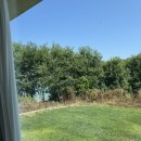 구공스테이도고키즈 이미지