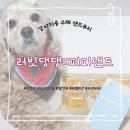 러빗댕댕 | 강아지를 생각하는 건강한 강아지간식집 &#34; 러빗댕댕 &#34;의 영양가득 퍼피샌드 후기