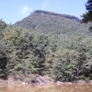 인동고등학교 이미지