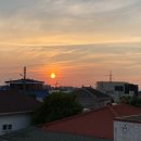 애월정거장 | 제주 여자 혼자 한달살기 후기 비용 팁 뚜벅이