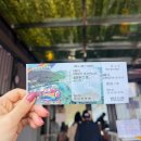 41190-01-07-158 | 충남 예산 가볼만한곳 예당호 모노레일 출렁다리 예산시장 먹거리 코스
