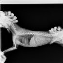 동주동물병원 이미지