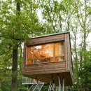 트리하우스 이미지