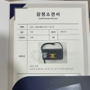 백 산 | 트렌비에서 셀린느 트리오페 숄더백 산 후기 (내돈내산)