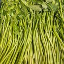 훼미리유통 이미지