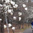 목련어린이공원 이미지