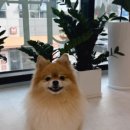 리타임뷰티 이미지
