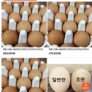 진정1농장 이미지