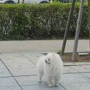 무주왁싱속눈썹윙크샵 | 아 뭐라도 일단 던져