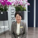 선한 인셀덤 이미지