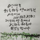 순 우리 말 동물의 새끼 이름 이미지