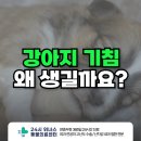 24시 위너스동물의료센터 이미지