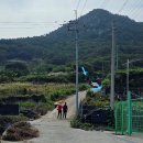 작은꽃지천 | [전남 고흥] 고흥 지죽도 태산, 금강죽봉 ~2025. 10. 06