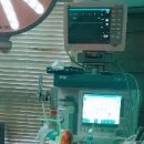 한라동물종합병원 이미지