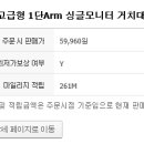 11260-3-62-3 | [개인구매] 카멜마운트 MA-1 구매 후기