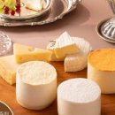 라이프앤모어 이미지