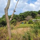 도청대로(동) 이미지