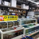 선희네 | 목포 횟집/목포 회센터 선희네횟집(민어한상차림 후기)