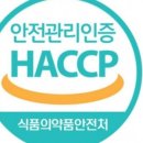 오늘은 캠핑이닭