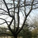 백양산업 이미지