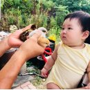 산수민박 이미지