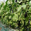 송정농협 경제사업장 이미지