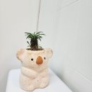 강동 다이어트 저스트 킥복싱 이미지