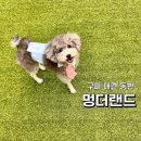 멍더랜드 이미지