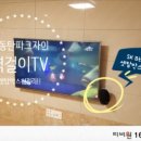 티비원