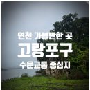 고랑포구 안내소 이미지