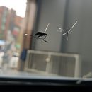 관악최고덴트집 이미지