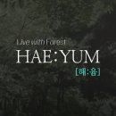 채움덴탈 이미지