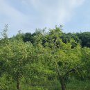 서후초등학교대흥분교장 이미지