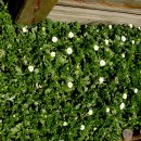 추억저장소 이미지