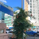 푸근푸근 이미지