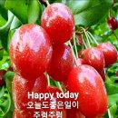 두여인 Daum카페